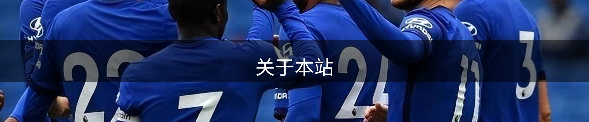 关于本站
